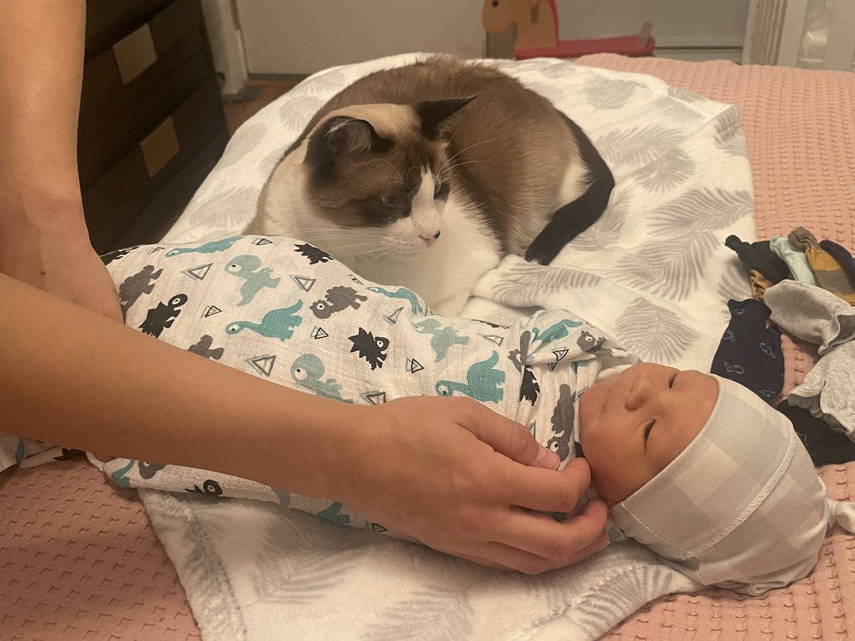Congratulations to my hardworking Chief of Staff Daniel Kurzyna and his wife, Kinga, on the birth of their beautiful son and perhaps future Council Member, Martin! And special thanks to our loyal staff cat emeritus <a href="/RockyOfficeCat/">Rocky</a> for watching over him.