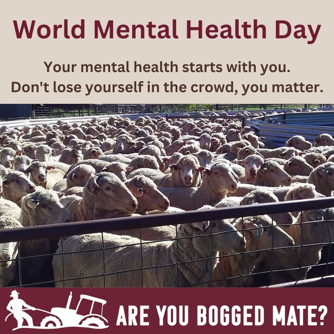 Today is World Mental Health Day &amp; the start of Ag Mental Health Week.
What can you do to be in good shape for life’s challenges?
Your mental health starts with you, make sure you hold up your side of the bucket.
#areyouboggedmate
#WorldMentalHealthDay2022
#AgMentalHealthWeek