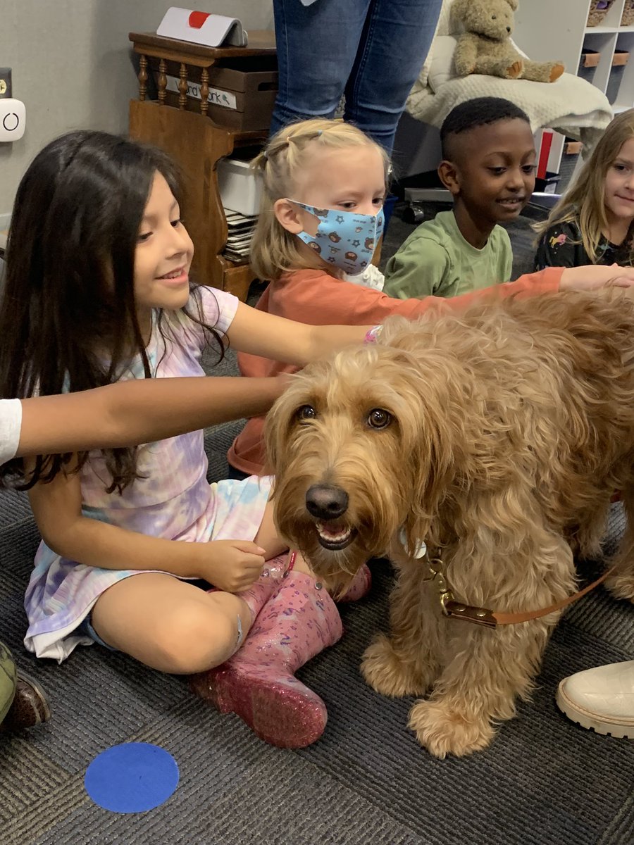 On Friday we had some extra fun when Ellie got to visit our classroom! We practiced our skill of asking questions vs. telling comments &amp; were so excited to get to pet her! @MissWallace_5 thanks for taking the time to come visit us and making our day 💛 <a href="/RStar512/">Rising Star Elementary ⭐️</a> <a href="/MrsMcHugh1/">Elizabeth McHugh</a>