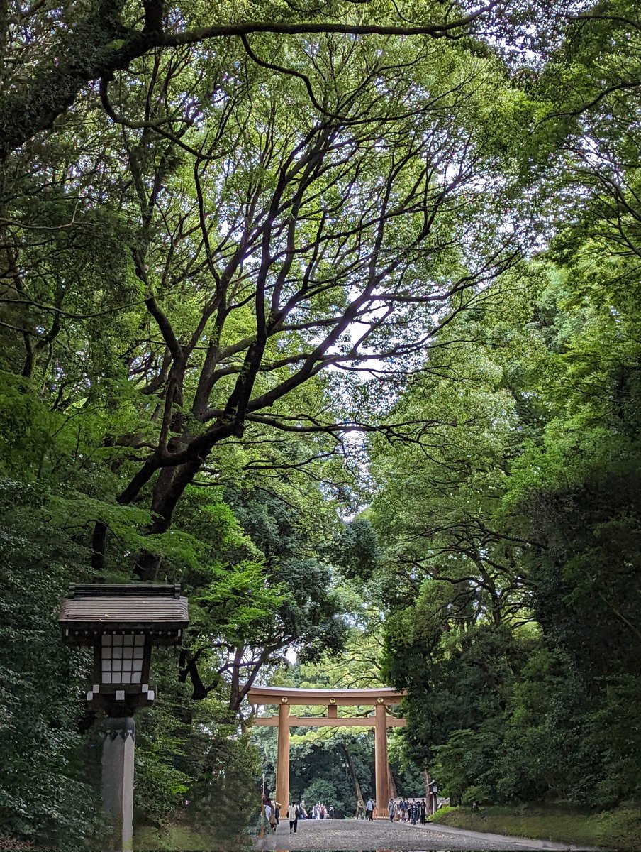 RachelleLacroix's tweet photo. Such a treat to have a little time in Toyko. I'm totally charmed! ✌️ https://t.co/DrJVOqXPf5