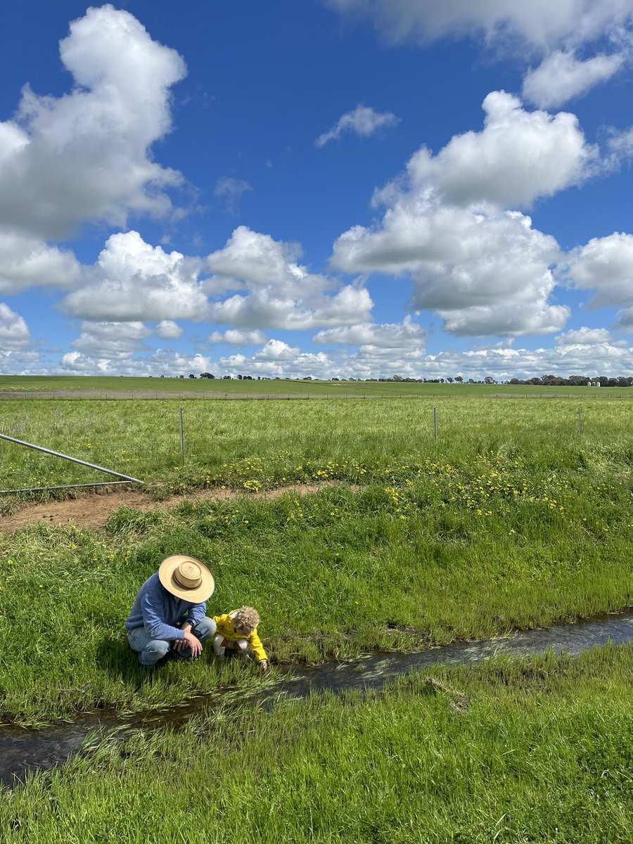The sun between the storms. What another wild season - but always happy to see abundance of feed and green