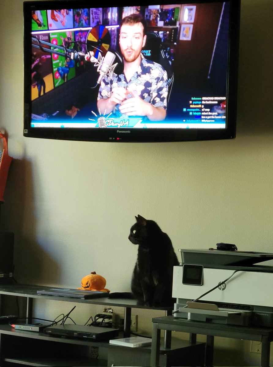 Crabanedhel's tweet photo. "Ooo! a cat!💜"- @CDawgVA https://t.co/Mgm4u4buJj