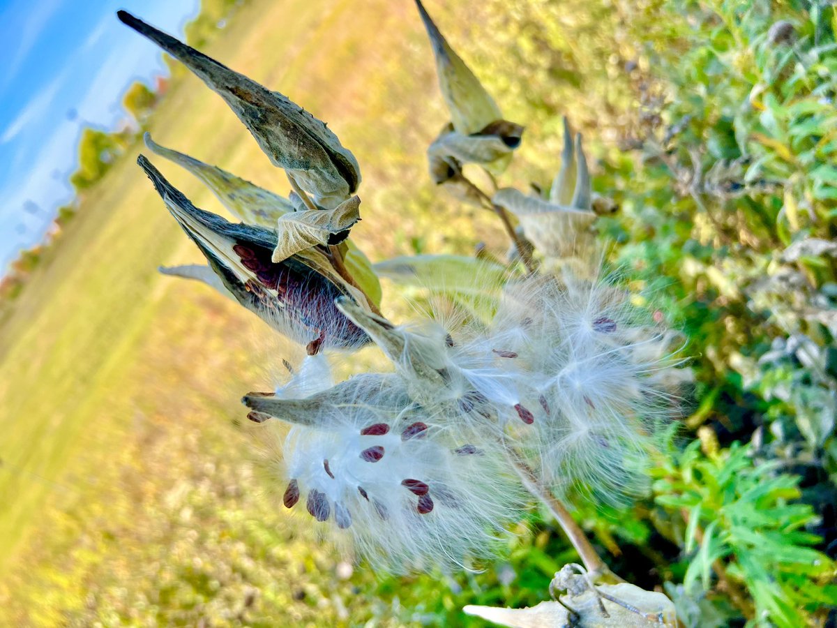 Beth Preis (@preisless) on Twitter photo 