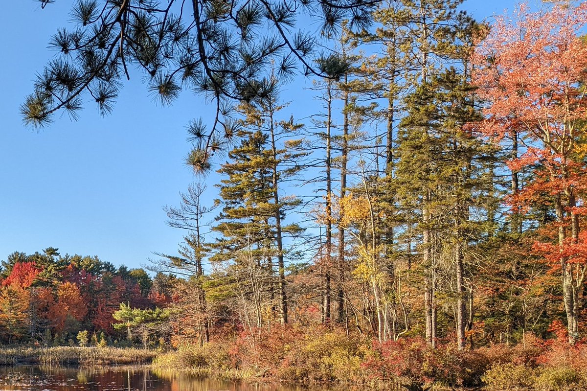 Sticks_Life's tweet image. 