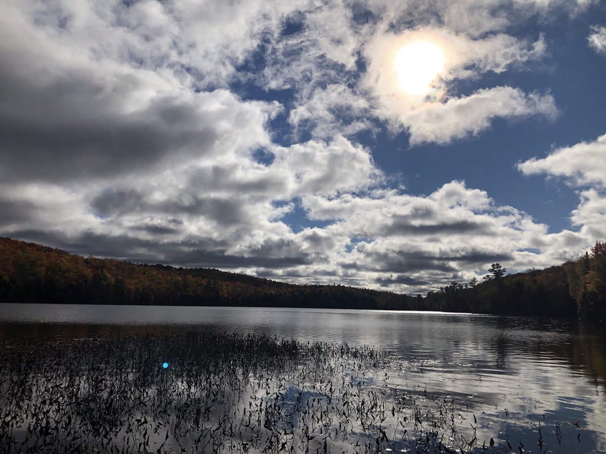 ctdonnelly's tweet photo. Last few days at Ricker Pond in Groton. Beautiful, and a little chilly in the morning. https://t.co/1qYDEXNGCi
