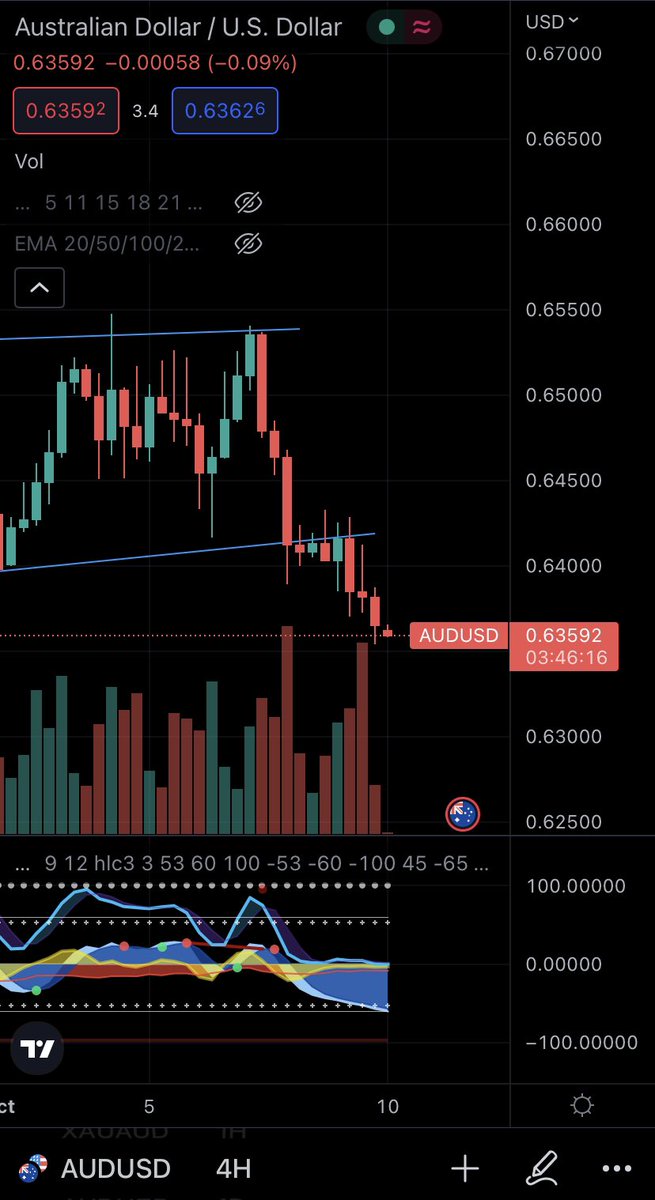 Duncan Moon 🦴 tweet media