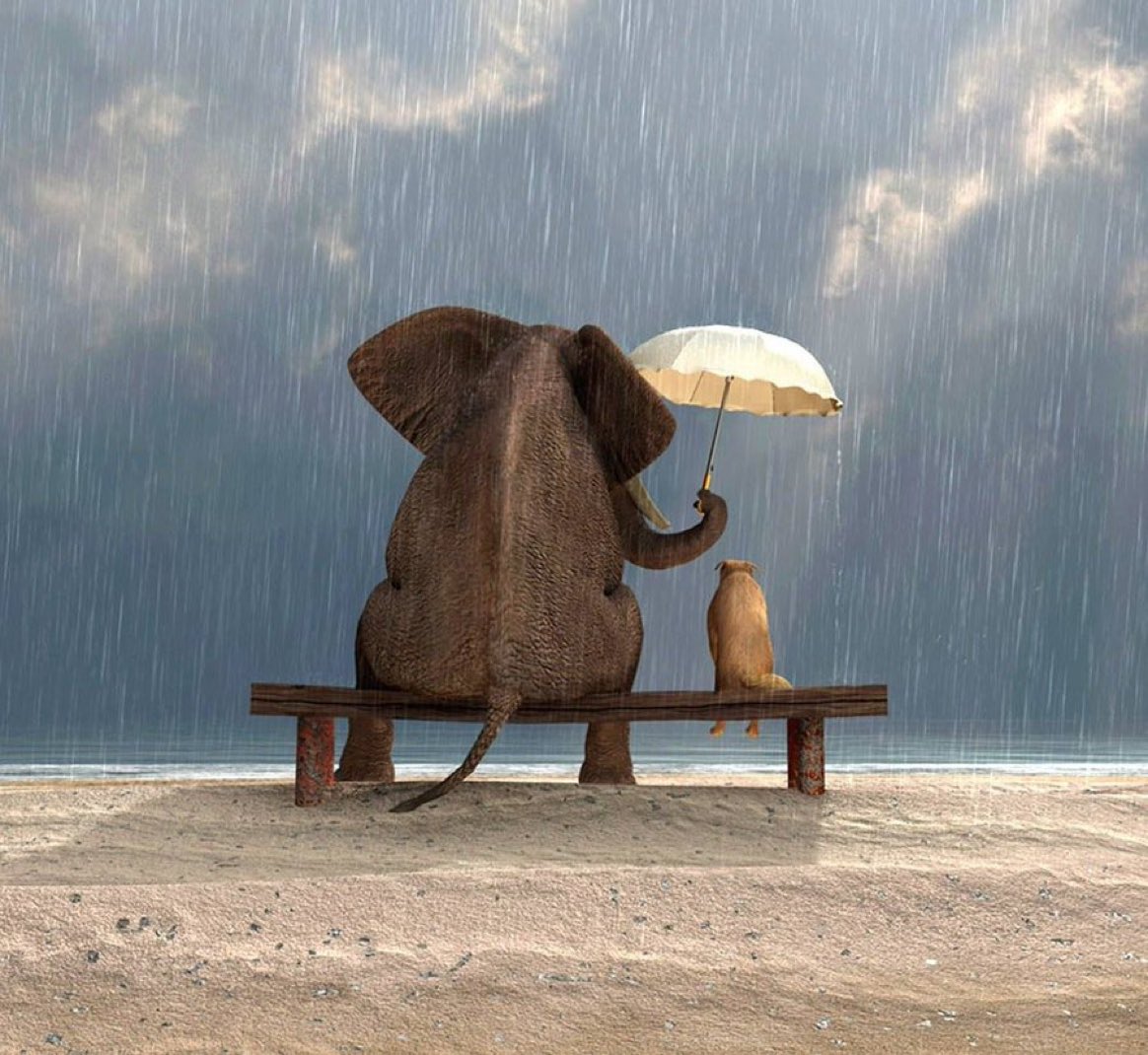 "Türkiye'deki en temel iletişim sorunlarından biri: Zarif davrandığınızda zayıf sanılmanız."