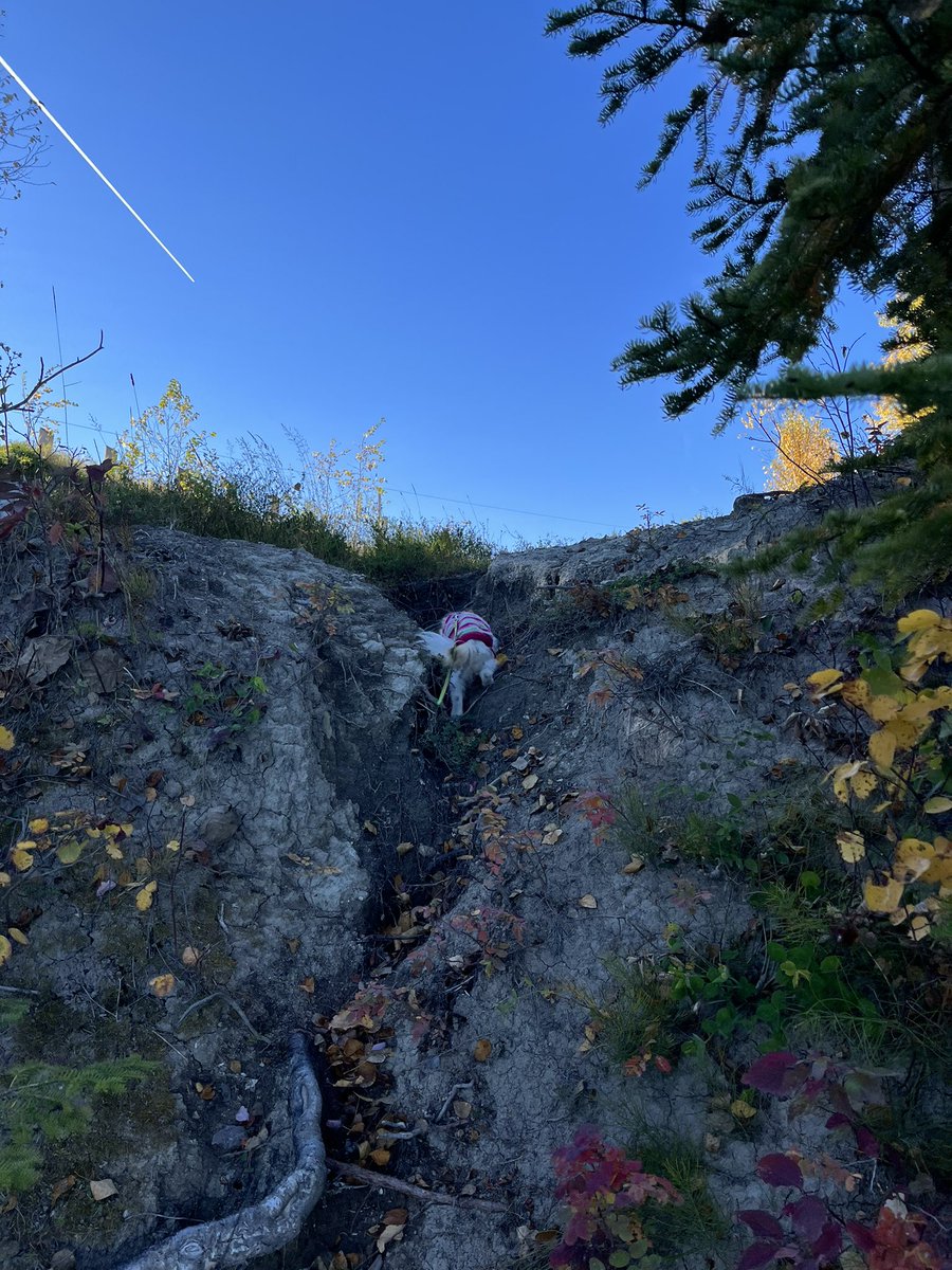 carapenne's tweet photo. rock climbing https://t.co/D1JRb0IZqW