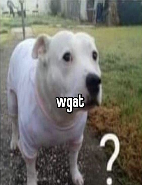 albértgød tweet media
