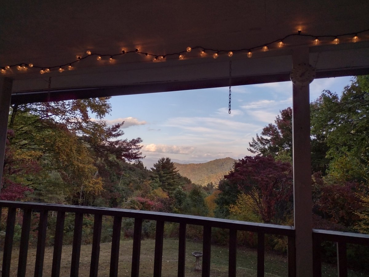 Laura Winter tweet media