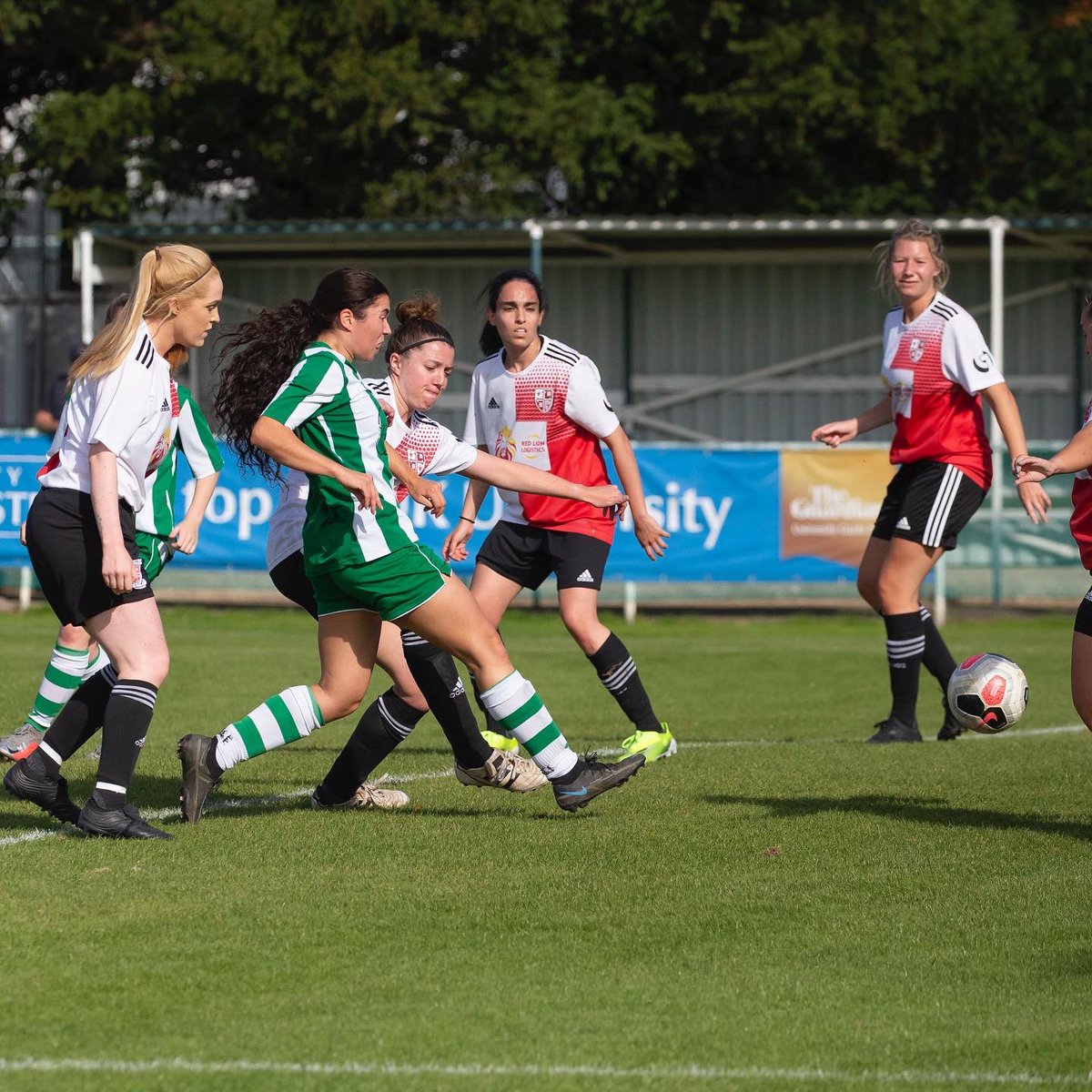 Chichester City Women FC tweet media