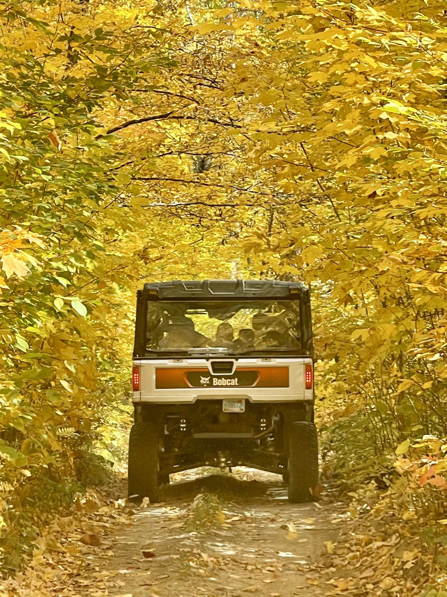 Talk about unbe-leaf-able!