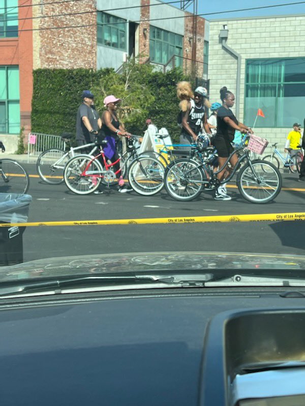 What a great day in DTLA. Thank you to everyone who came out and supported <a href="/CicLAvia/">CicLAvia</a> Please continue to keep our streets safe and watch out for bicyclists while traveling through DTLA #ciclavia #watchoutforbicyclists #bikesafety