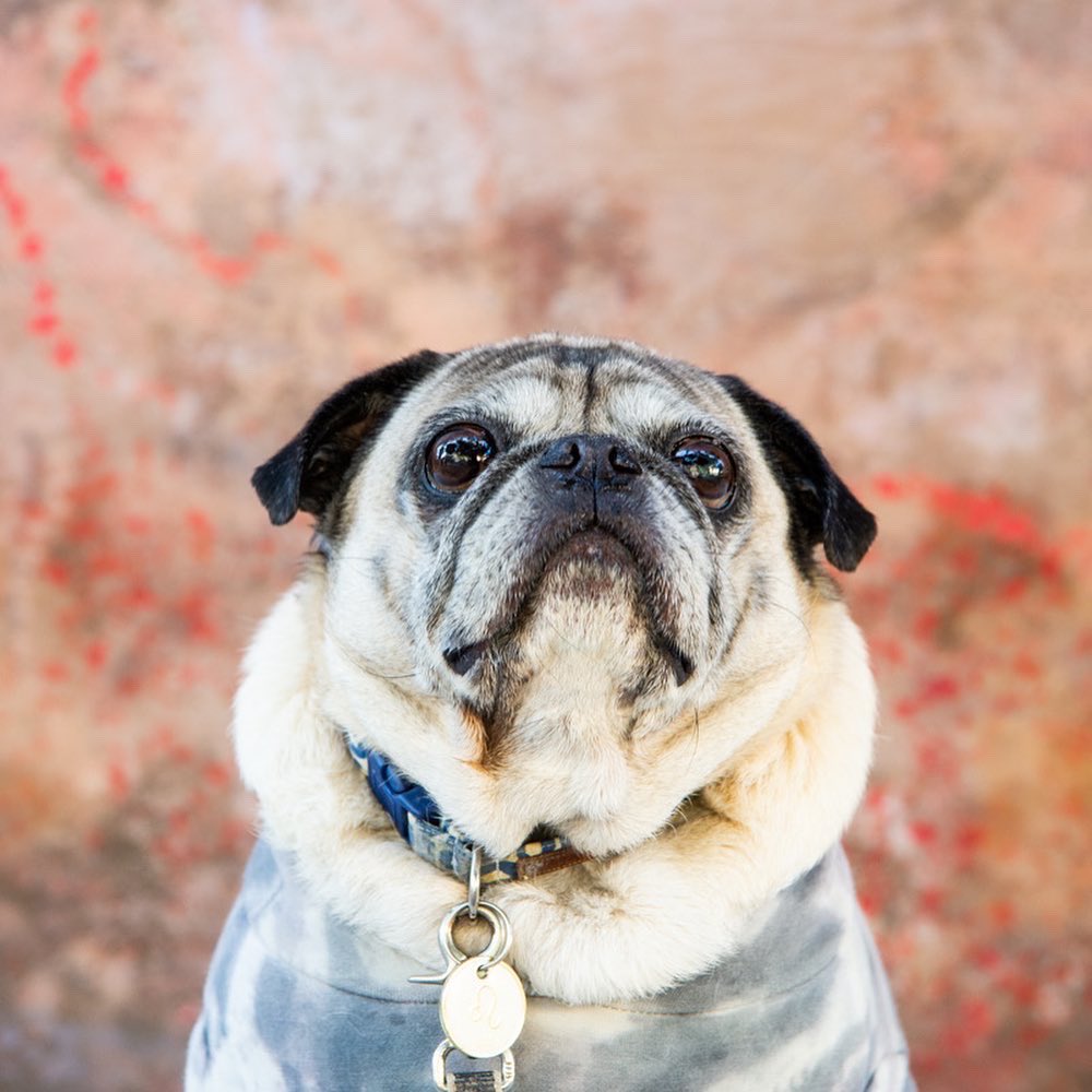 Haven’t been tweeting much but I have been storing snacks in my neck like a squirrel