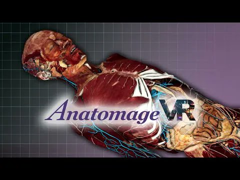 Anatomage announced the release of the #AnatomageVR - a #VirtualReality application that gives users the opportunity to explore Anatomage's real human bodies in the metaverse. 

#Anatomage #VR Brings #Interactive #Anatomy #Learning to The #Metaverse prnewswire.com/news-releases/…