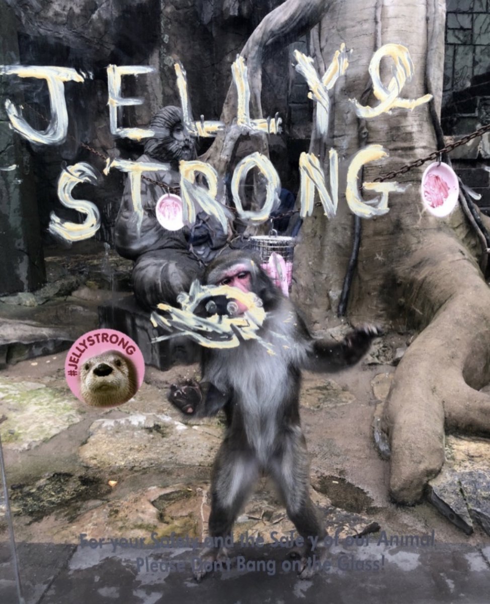 LIaquarium's tweet photo. I am (peanut butter and) #JellyStrong 🦦 💗

Join the Long Island Aquarium and I as we fundraise to make a difference in the fight against breast cancer! I want you to know that every dollar will be going to the American Cancer Society’s programs and services. https://t.co/tMIFstIZk2