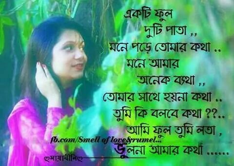 wahi (@walid81129516) on Twitter photo 