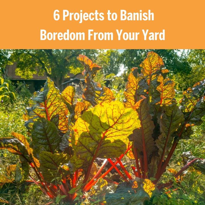 RealtorMaryRKey's tweet image. Is your backyard looking a little basic these days? bit.ly/3BfrtH1