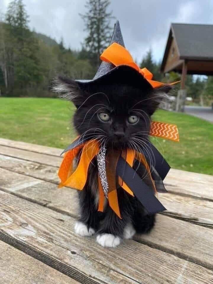 Too cute not to share🧡 Have a wonderful, fall week🍁 #alwaysbenicetoothers