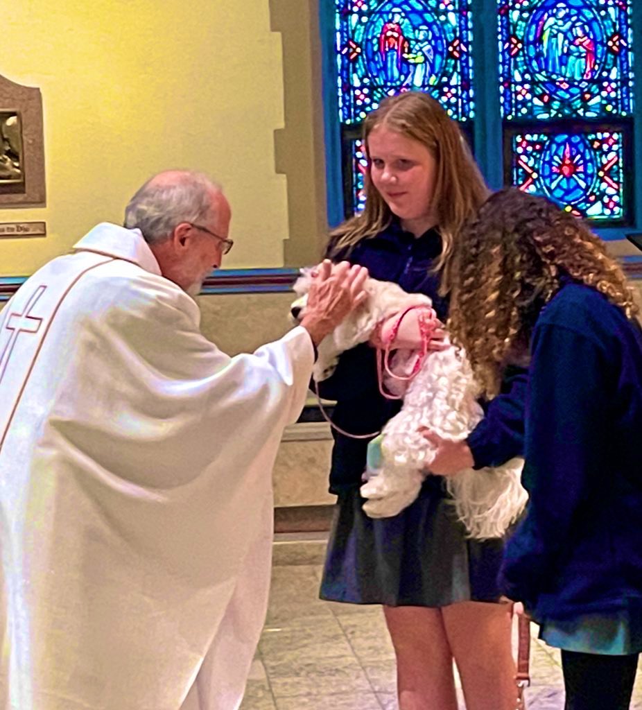 rob06615's tweet photo. Feast of St. Francis of Assisi Mass and blessing of the animals at St. James School. https://t.co/DrcPPxMnn4
