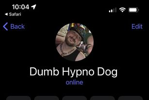 What I am in an Alpha's phone, gives me such a chub. Just your usual dumb musky hypno faggot pig dog here needing a faceful of sweaty feet and pits.
