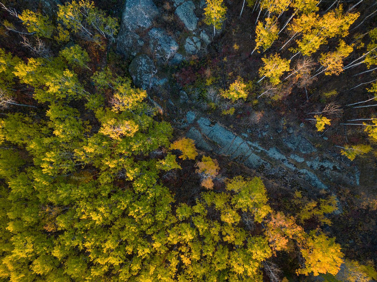 I've been playing with a #drone recently. Still figuring it out but finding some interesting images along the way.

#forest #fall #canadiansheild #manitoba