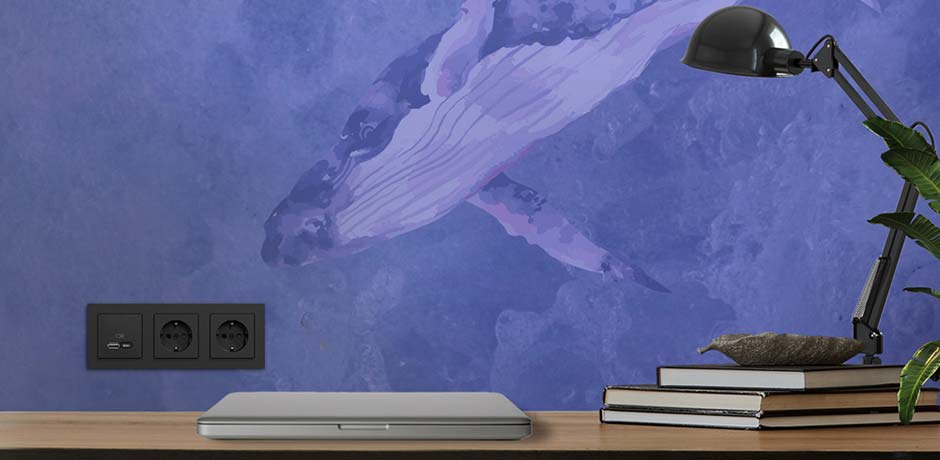 Lichtschalter, die die Meere schützen tinyurl.com/2e9coowr