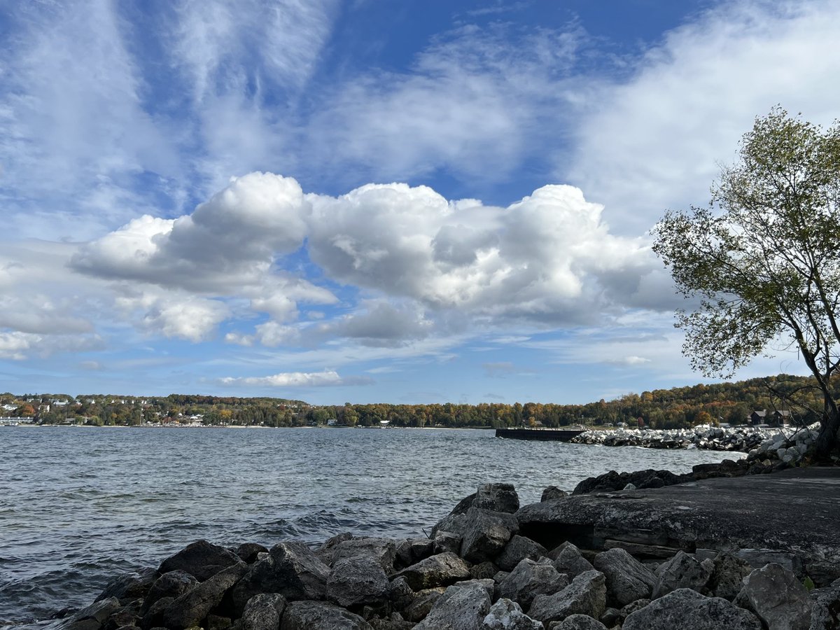 sharena ali tweet media