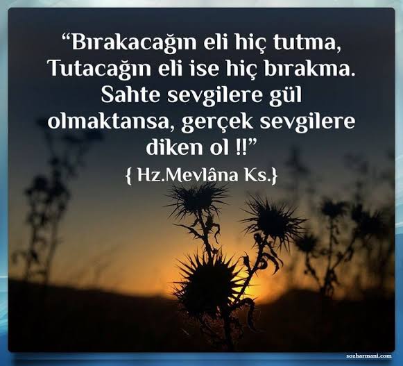 ozlu_ve's tweet photo. Bırakacağın eli hiç tutma
Tutacağın eli ise hiç bırakma https://t.co/oyOdlSa1lA