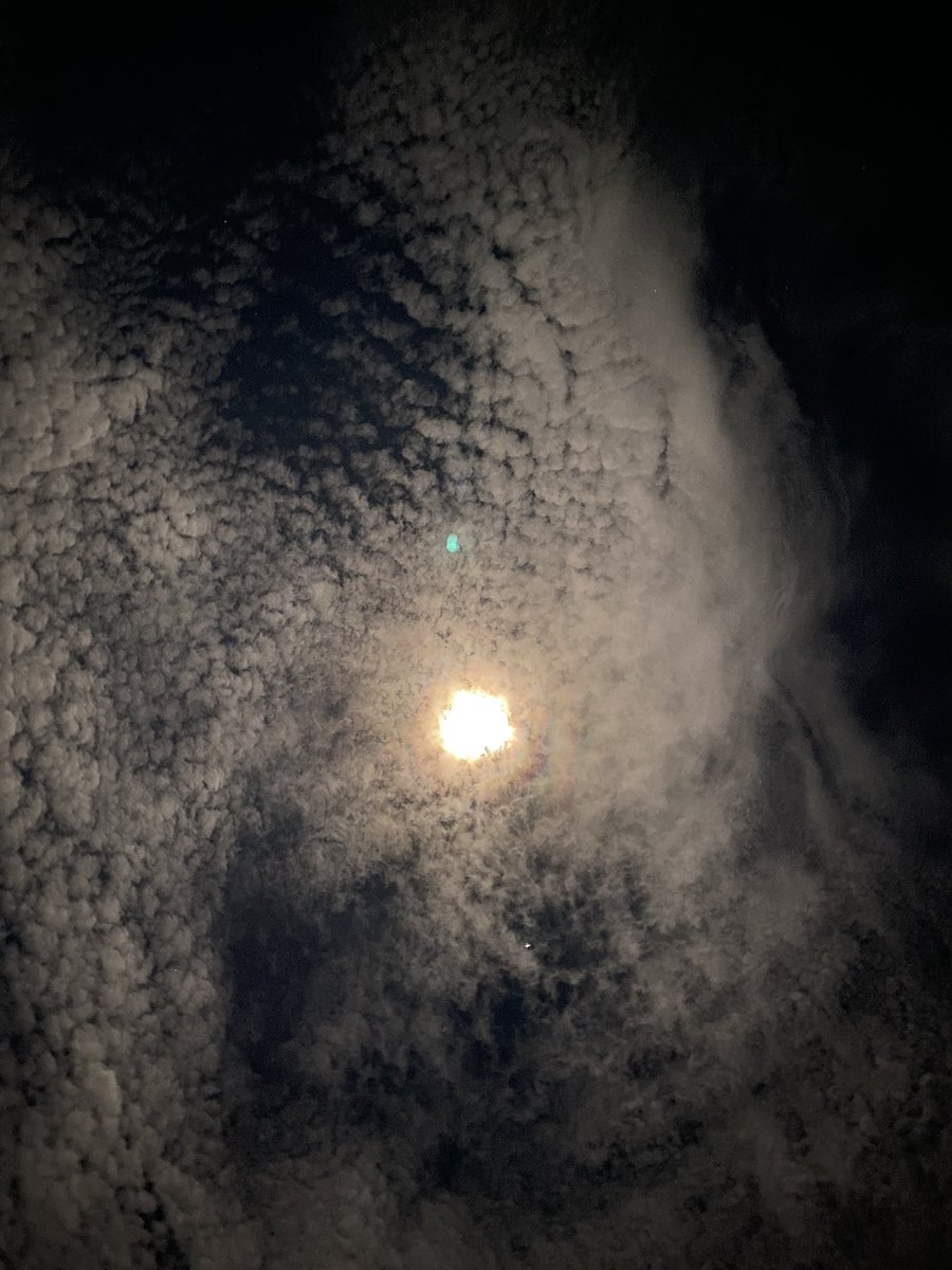 Ekta_2002's tweet photo. The moon in me finds the sky in you. https://t.co/4lUApayqcq