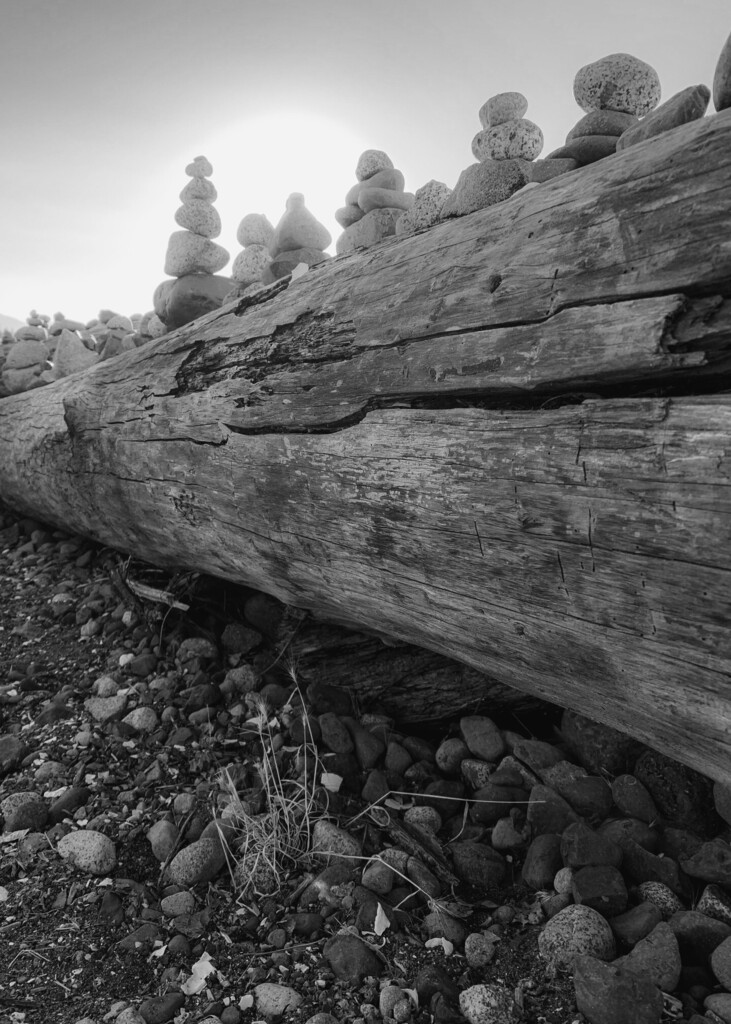 Happy Sunday!  Hope you get a moment of peace. instagr.am/p/CjgjSW2Mi8c/