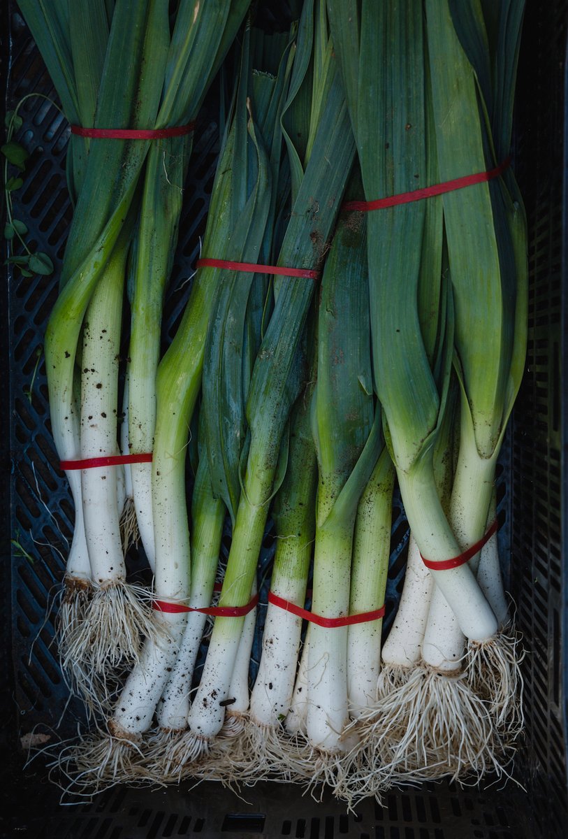 Mondays are for good greens, like these vibrant spring onions - fresh from the farm for our Oliver's menu.

#olivers