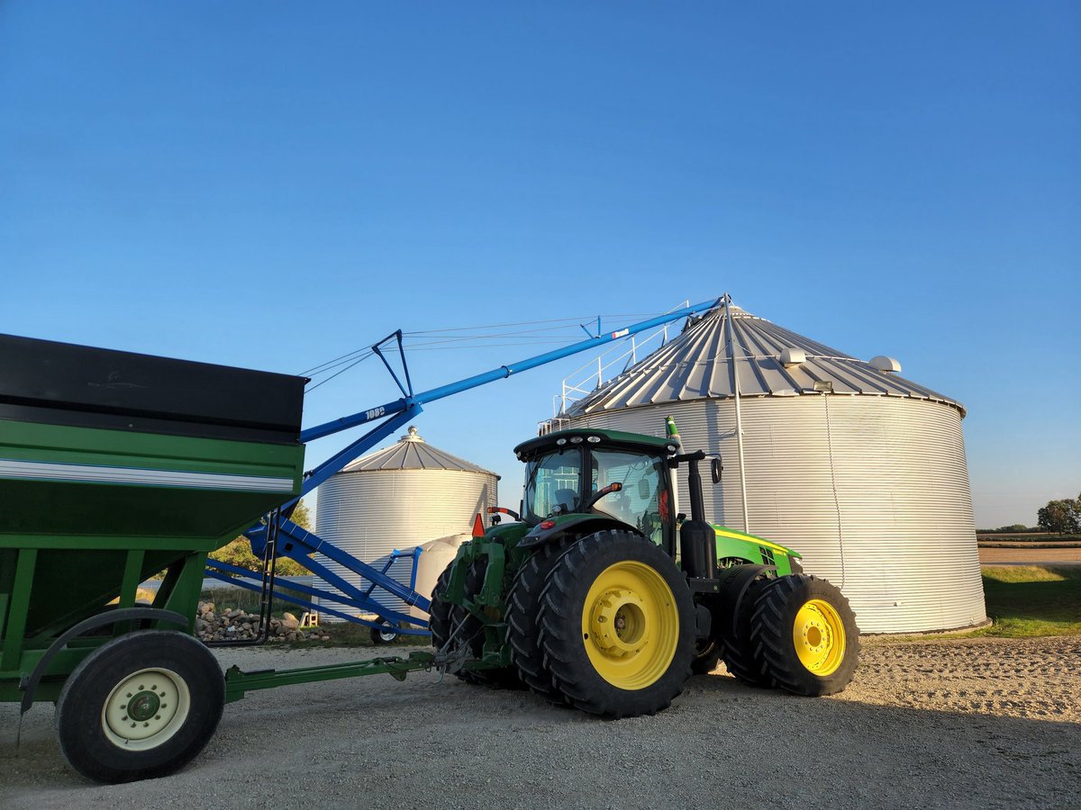 Beautiful night. Bean harvest well under way.