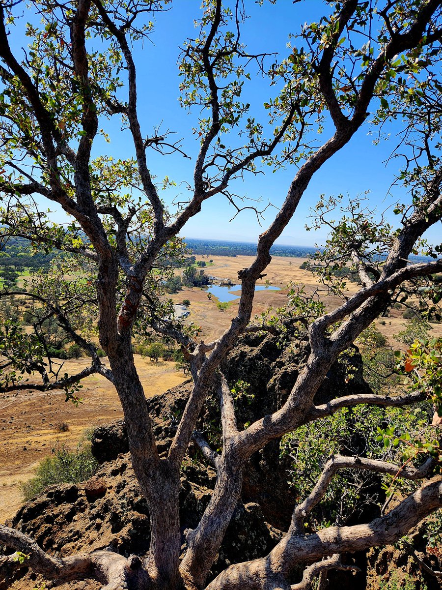 Monkey Face in Upper Bidwell Park 🐵