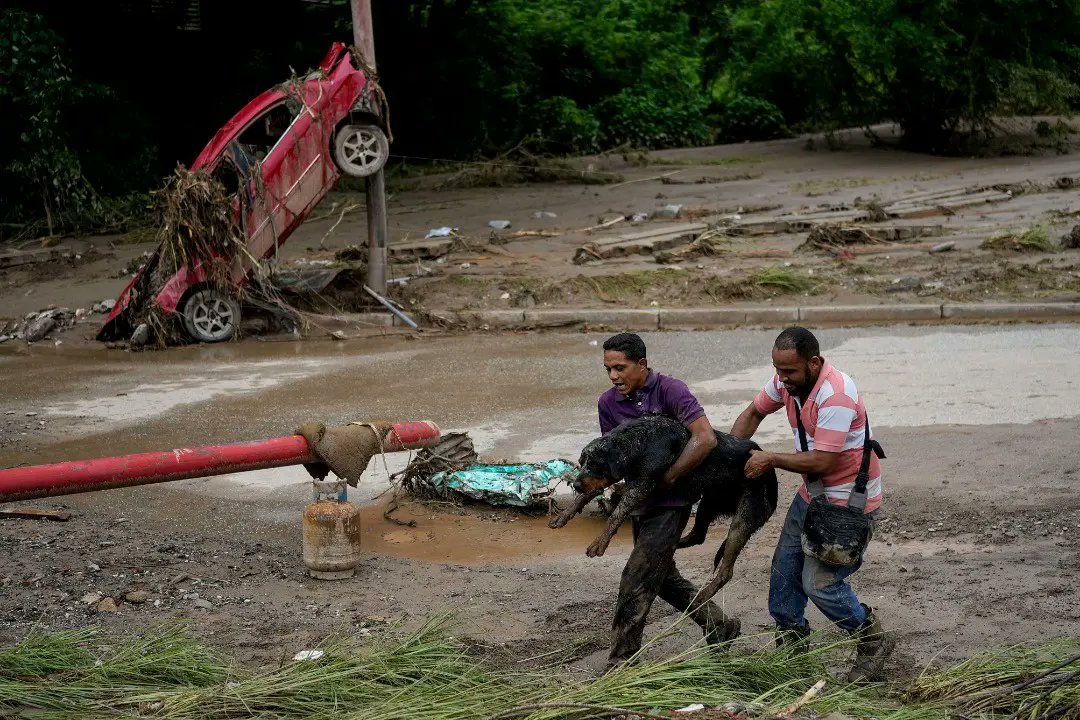 |VIRAL| ⛑️🐶Un hombre se reencontró con su perro, quien fue rescatado por los vecinos del lodo, luego de inundaciones provocadas por las intensas lluvias en Las Tejerías. 

Fotos cortesía: AP