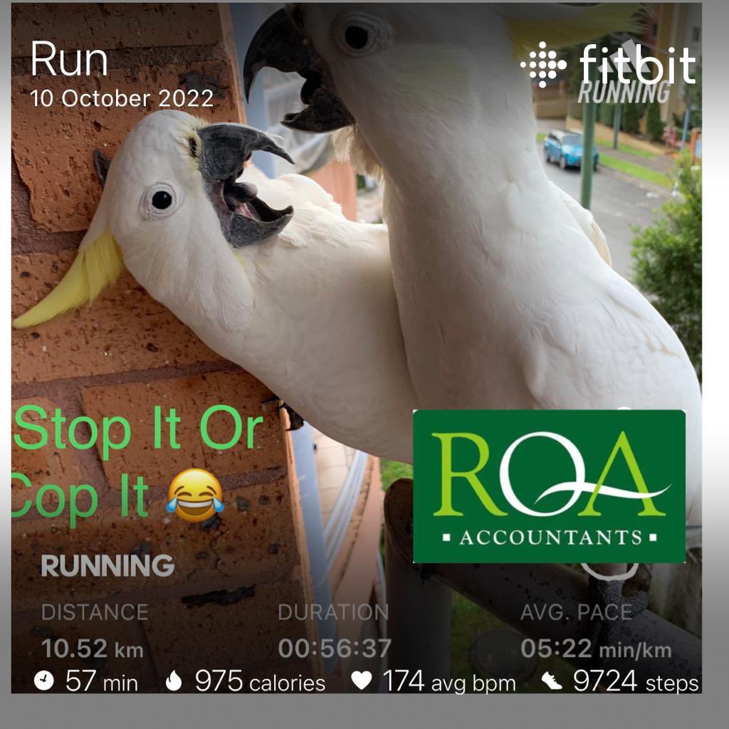 🌞🏃🏽‍♂️ Don’t throw stones at others if you reside in a glass house 🏠- A cornered bird 🦅 has no option but to retaliate. #fattofit #inittowinit #RQA #RQAGROUP #RQAHealth