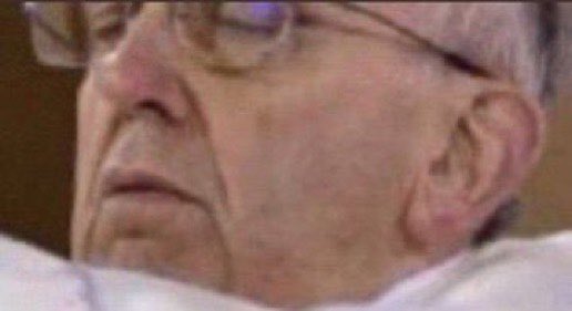 ThatMemeDog tweet media