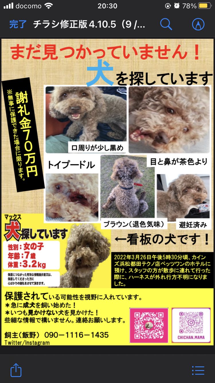 ◆激レア◆探知犬〈東京税関〉ラミネートカード4枚➕税関チラシ ◇激レア◇探知犬〈東京税関〉ラミネートカード4枚➕税関チラシ
