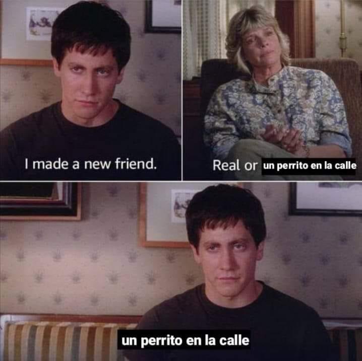 Perritos que curan tu depresión 🐶 (@perritos_qctd) on Twitter photo 