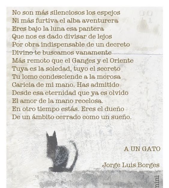 CafeParaLeer's tweet image. 