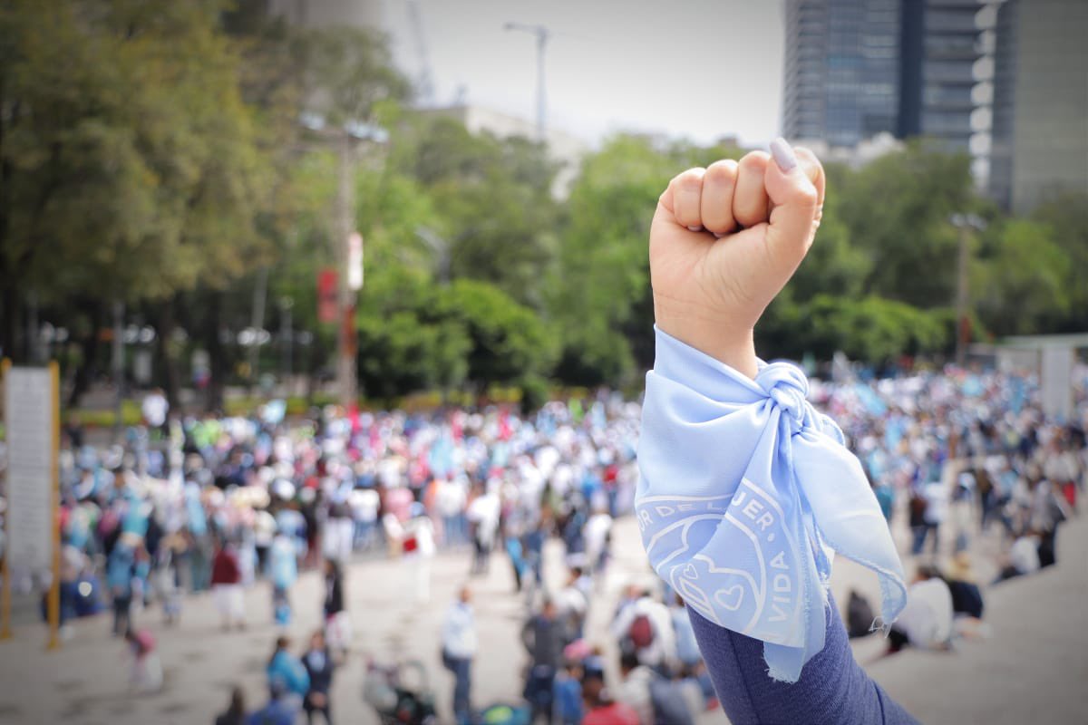 AmerangelLorenz's tweet photo. Cientos de miles de personas marchamos hoy en más de 100 ciudades de México a favor de la vida y ¿qué creen? Cero vidrios rotos, ni negocios destruidos o monumentos vandalizados.

La vida es paz y armonía, muy diferente a la cultura de la muerte que destruye todo.

 #MujerYVida22 https://t.co/JYanTxmb7m