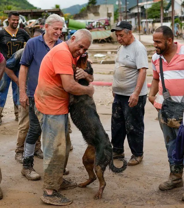 JohanLozada26's tweet image. Lo mejor que he visto en tanta desgracia el día de hoy.