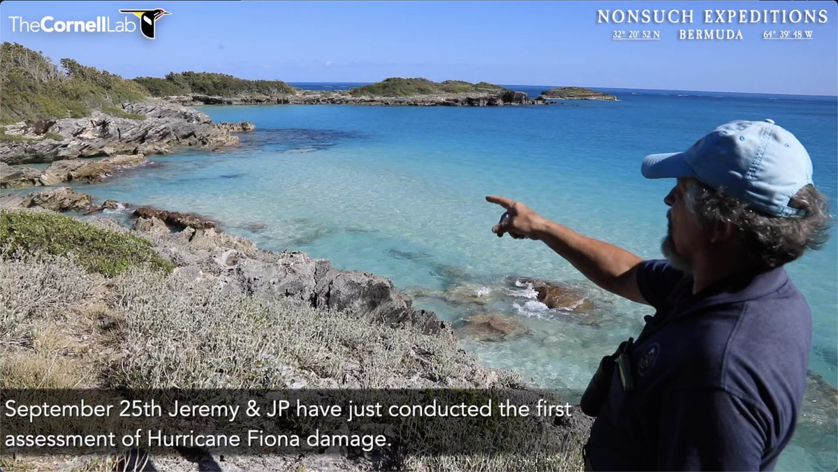 Nonsuch Expeditions tweet media