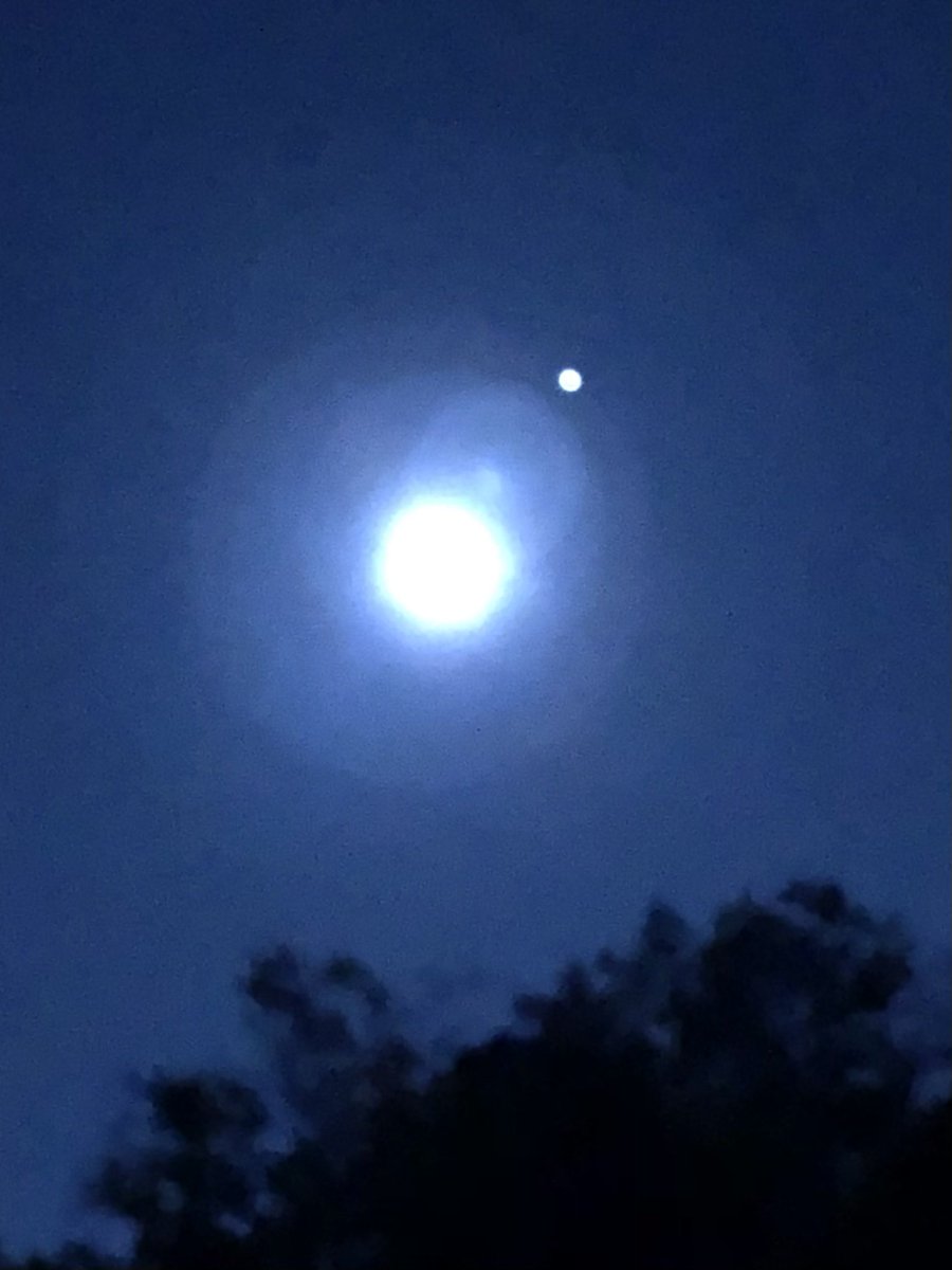 momlovesfilm's tweet photo. Got a Hunter’s Moon and pretty art tonight. #fullmoon #fallsky #SarahFenerty https://t.co/WTu8Aqp1Q5
