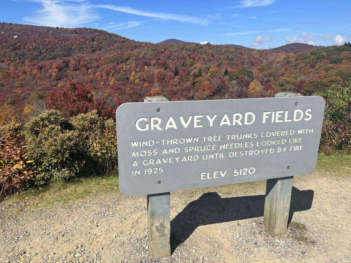 BFishHoops's tweet photo. More hiking in WNC today 🥾⛰🍁🍂
#GraveyardFields #BlueRidgeParkway https://t.co/8QL8KqU4Wd
