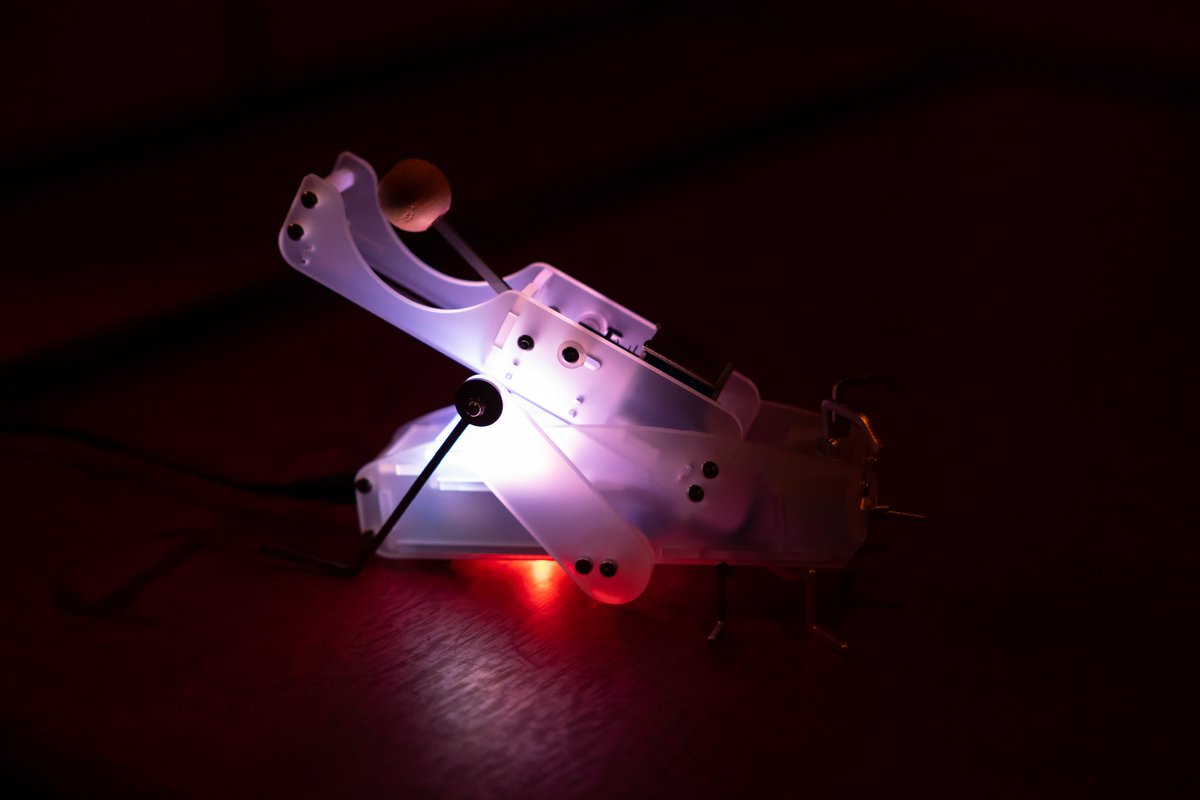 ろたん tweet media