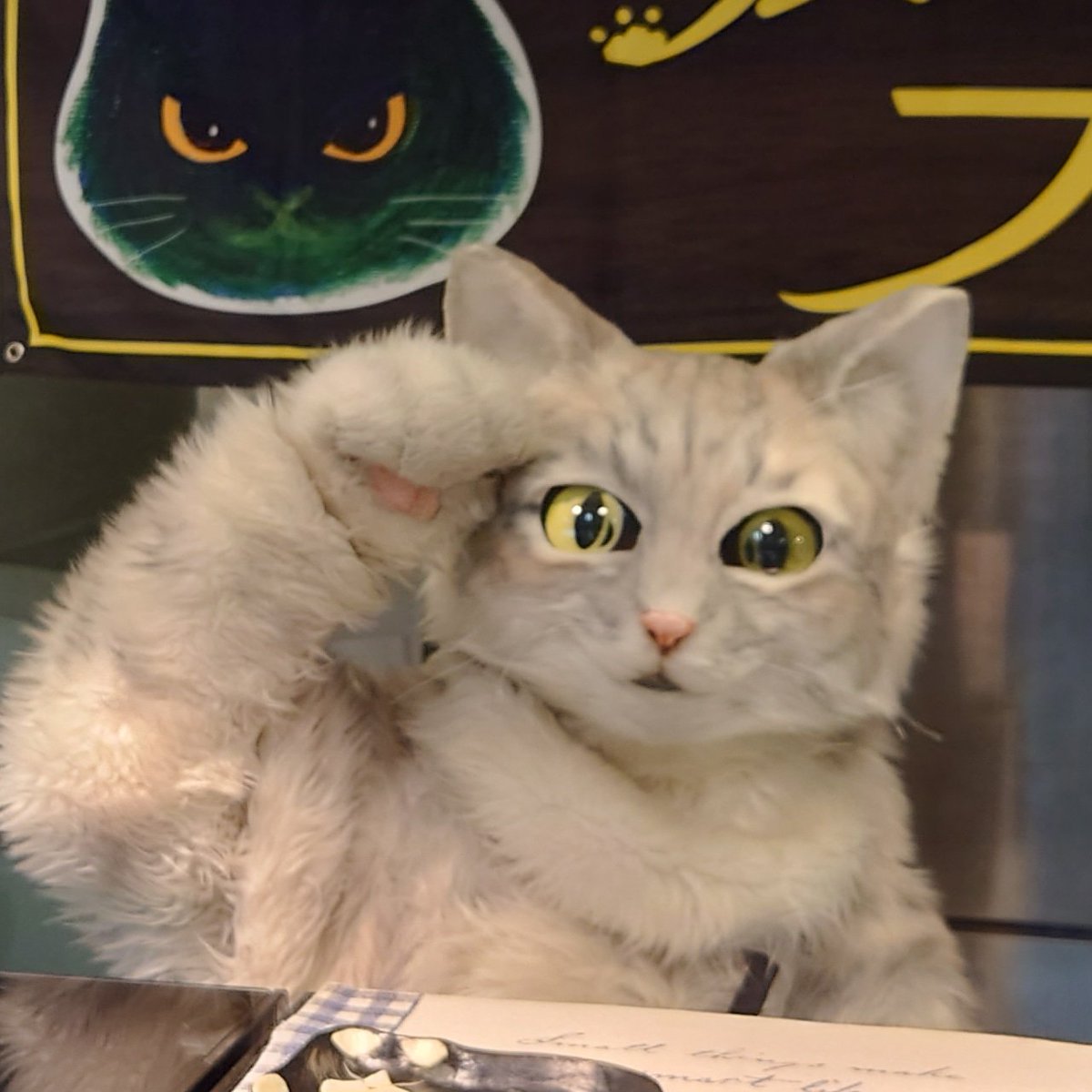 プリン専門店♪坂の上の猫♪ 源田 晃一 【公式】 on X: