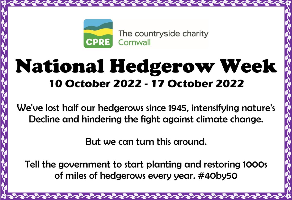 CPRECornwall's tweet photo. #NationalHedgerowWeek #40by50 #MoreHedges #HedgerowHeroes #HomeSweetHedgerow #CornwallCPRE #CPRECornwall #SaveOurCountryside #iLoveCornwall #CornwallMatters #WildlifeMatters #Environment #Nature #Wildlife #Rural #Cornwall #Kernow #UK 

Sign the petition>>> https://t.co/NWaEWjRyyO https://t.co/tCYrCj5yeZ