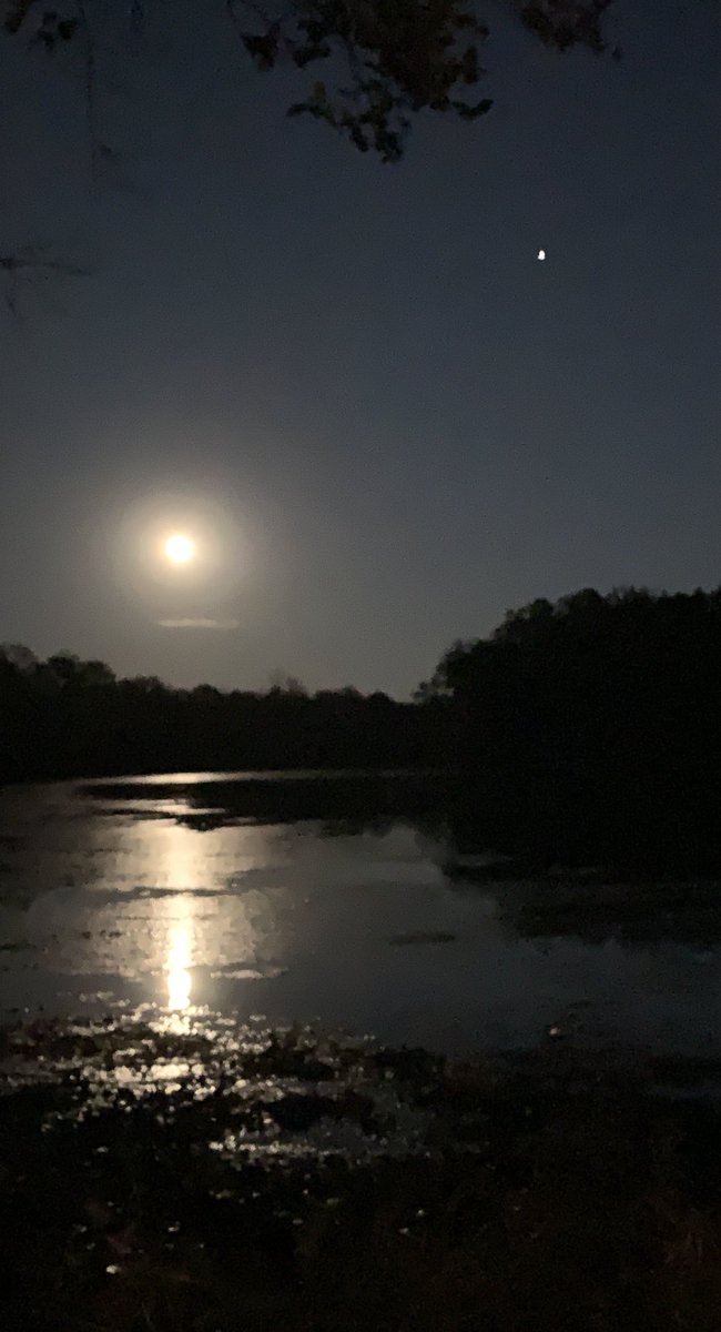 okamoto_sandra's tweet photo. Good night, Columbus! I’m at my brother’s house again in Juniper, looking at the full moon and Jupiter. It is absolutely beautiful. #Juniper&ColumbusGA #10/09/2022 #gettingchilly #tinybreeze #drierair #cicadasloud #soaretreefrogs #mymoonobsessioncontinues https://t.co/oIdypxjQlN