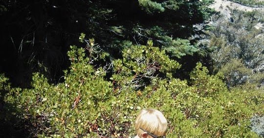 dayhikingtrails's tweet image. Trail etiquette all kids show learn for hiking 
 #hiking #camping #outfam
 dld.bz/fqTYR